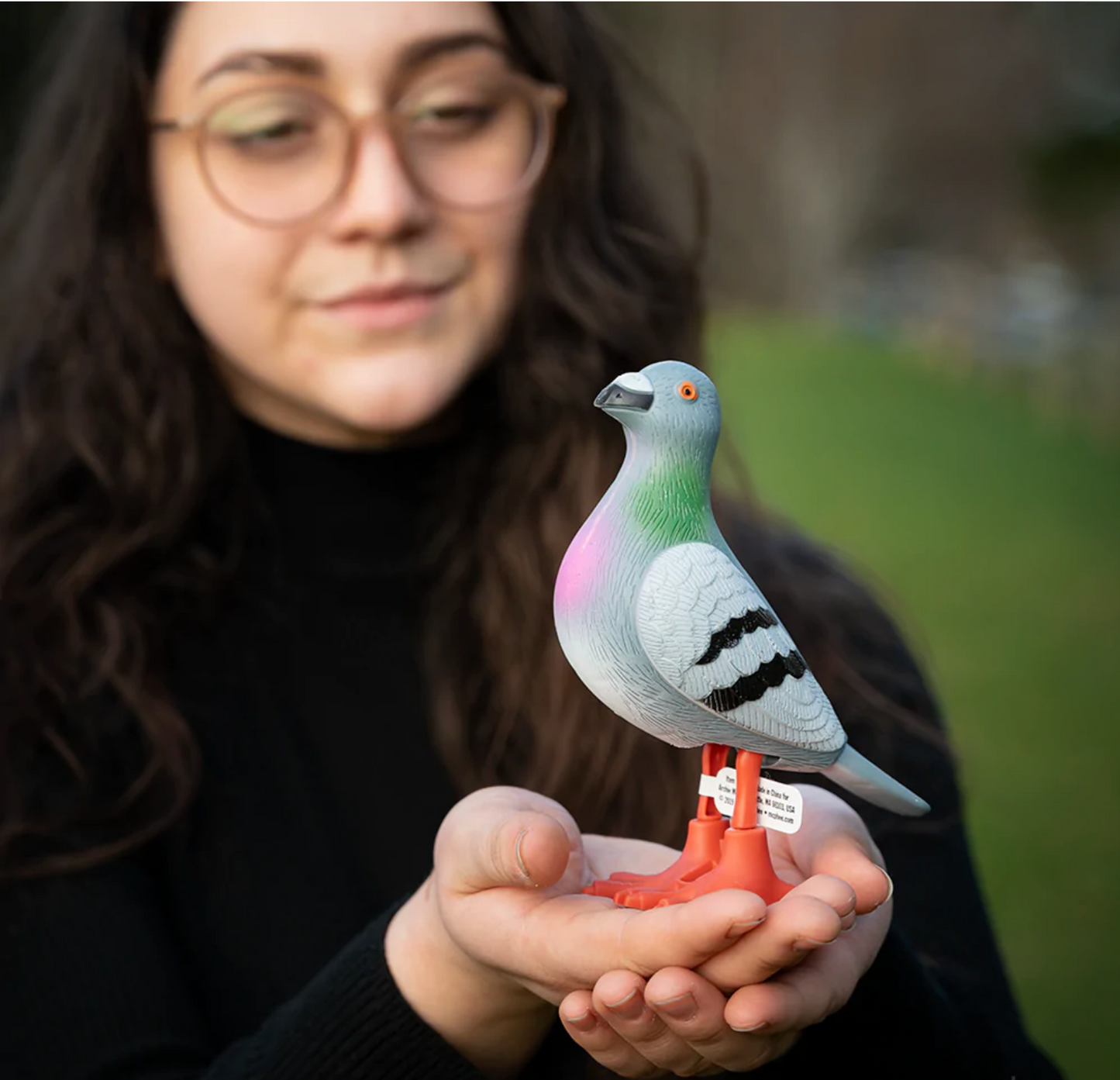 Wind Up Pigeon