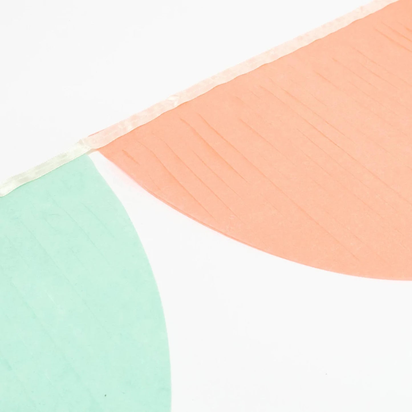 scallop garland closeup