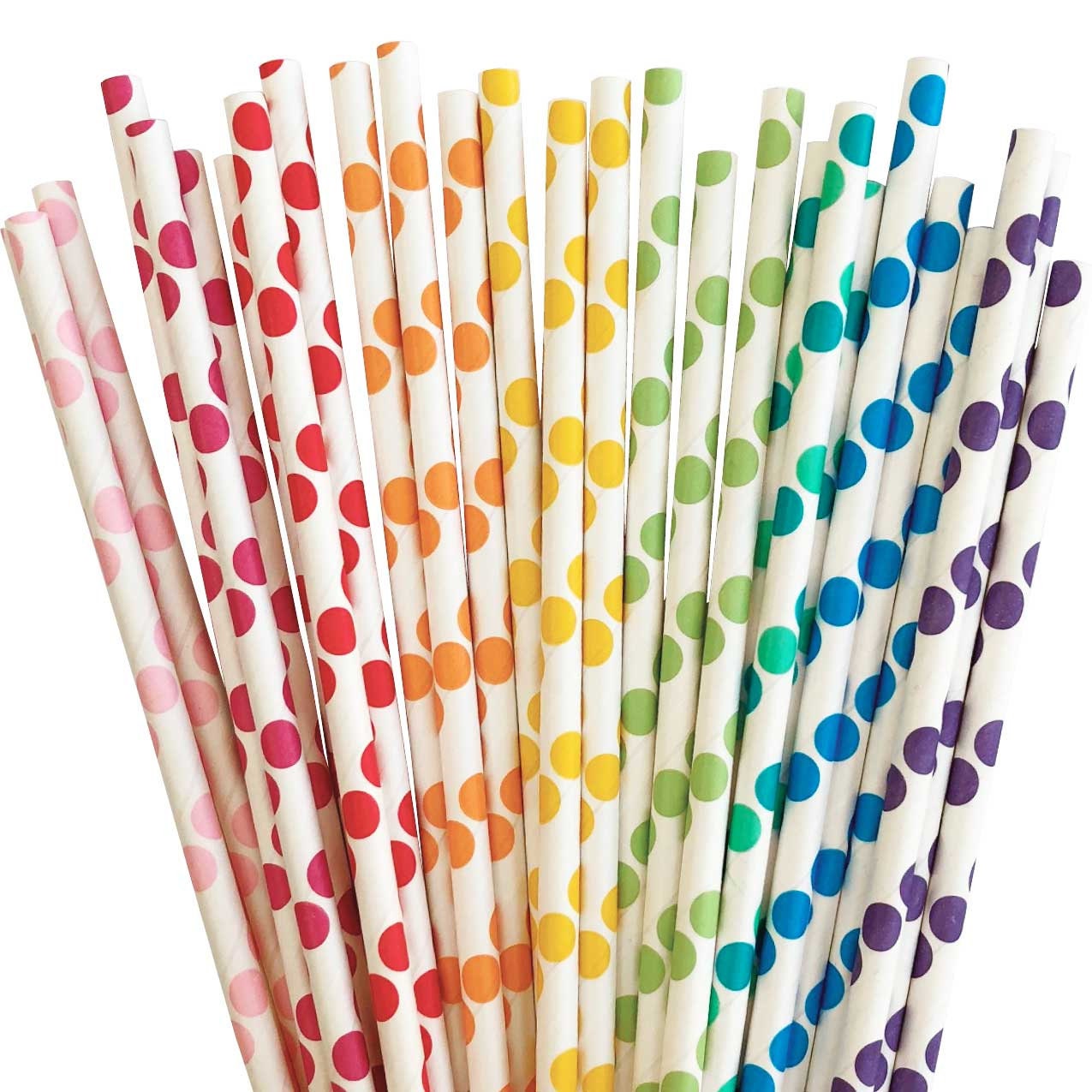 Rainbow Polka Dot Paper Straw (25)