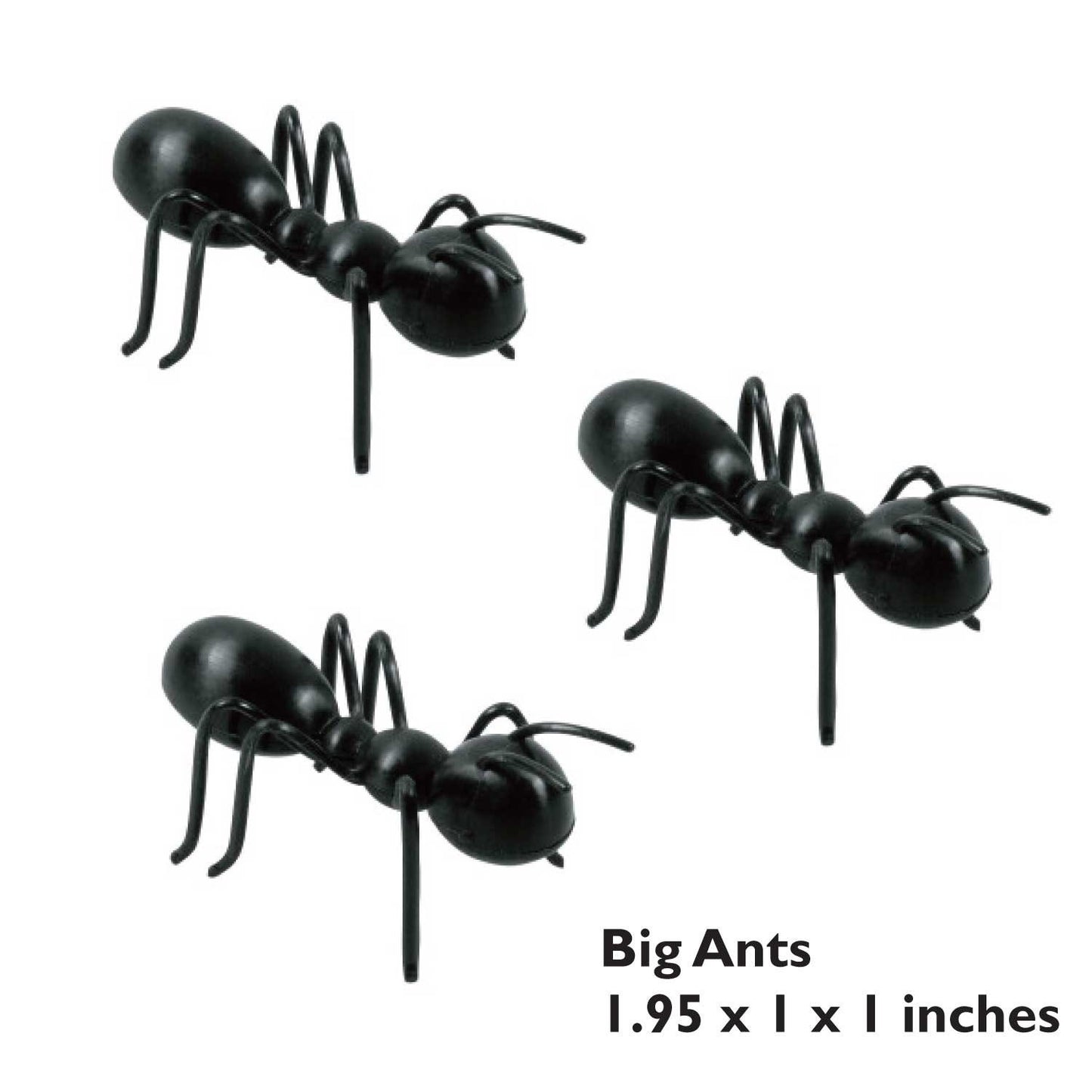 Large 3-D Ants (set of 12)