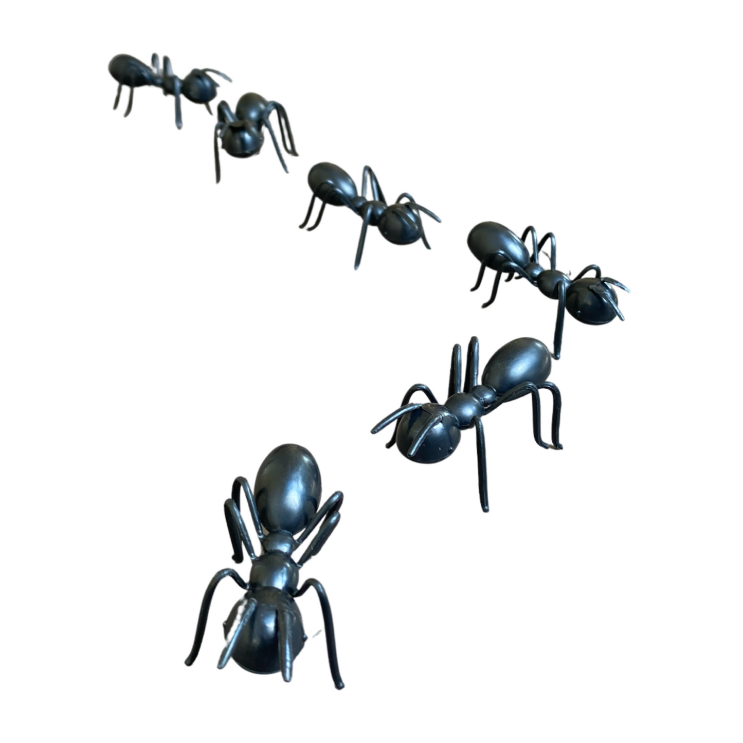 Large 3-D Ants (set of 12)