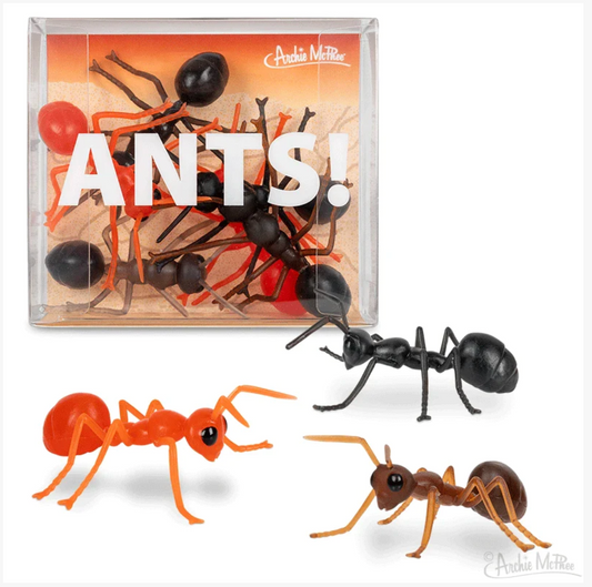 Box of Giant Ants