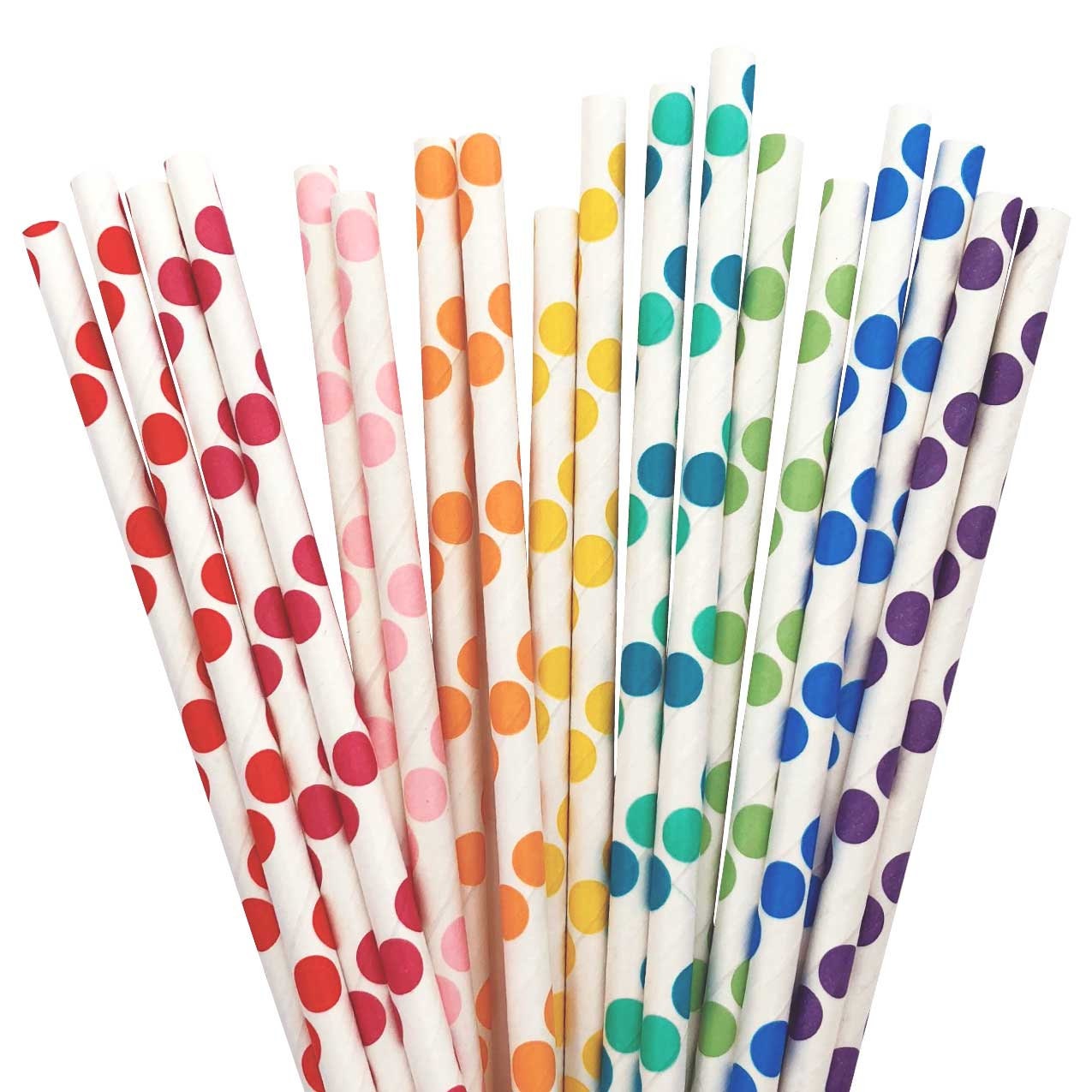Rainbow Polka Dot Paper Straw (25)