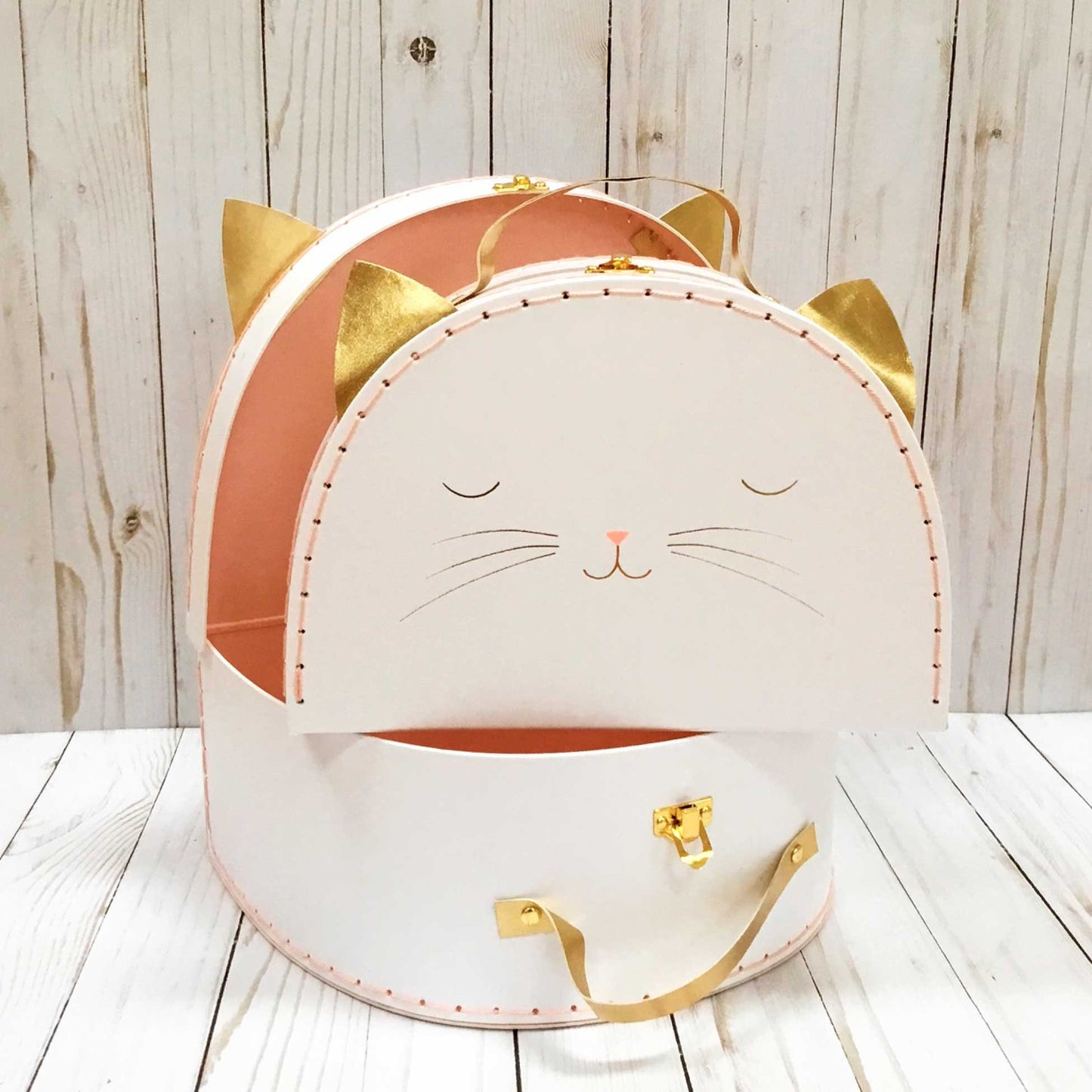Cat Suitcase Set