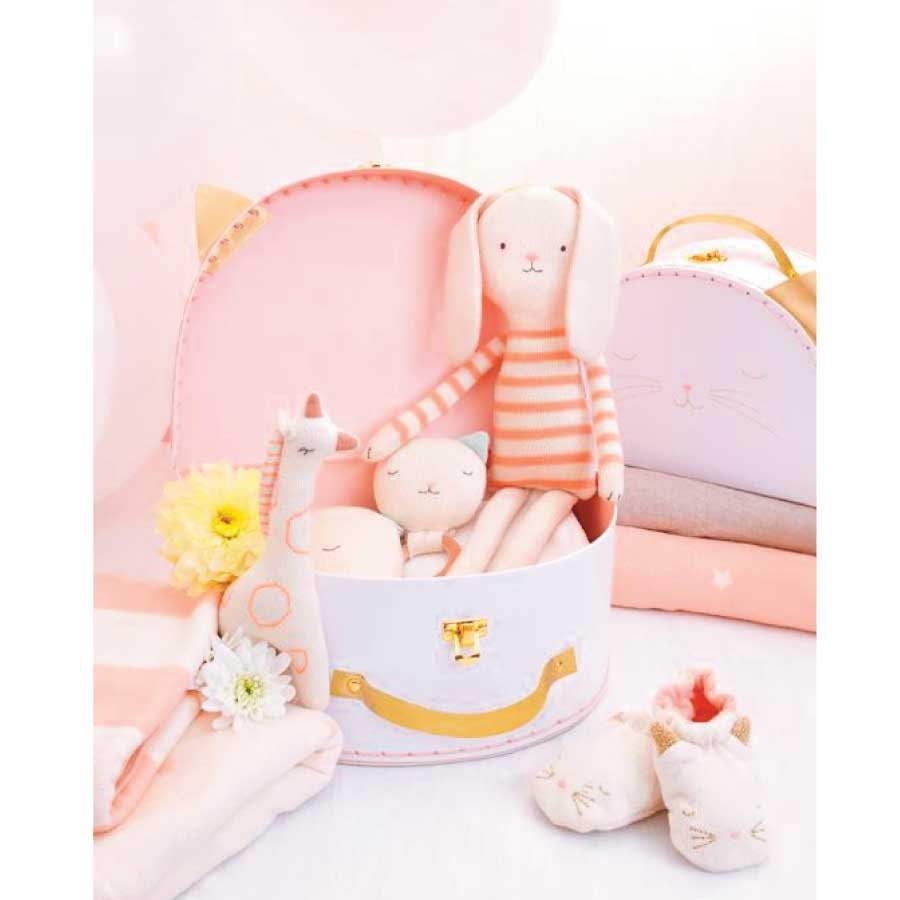 Cat Suitcase Set